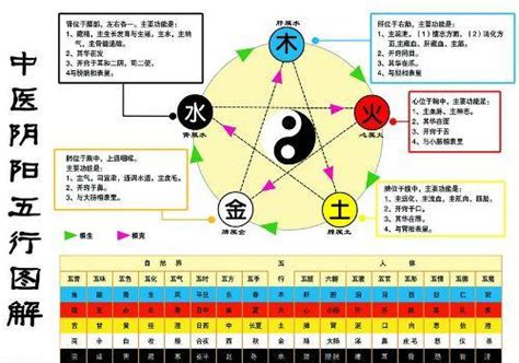 金和水的关系